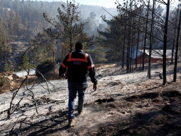 Aton. Incendios forestales.