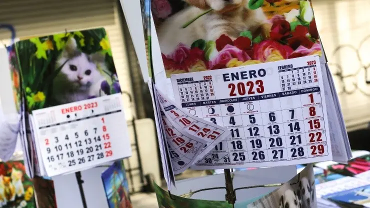 Calendario chileno de gatos de 2023