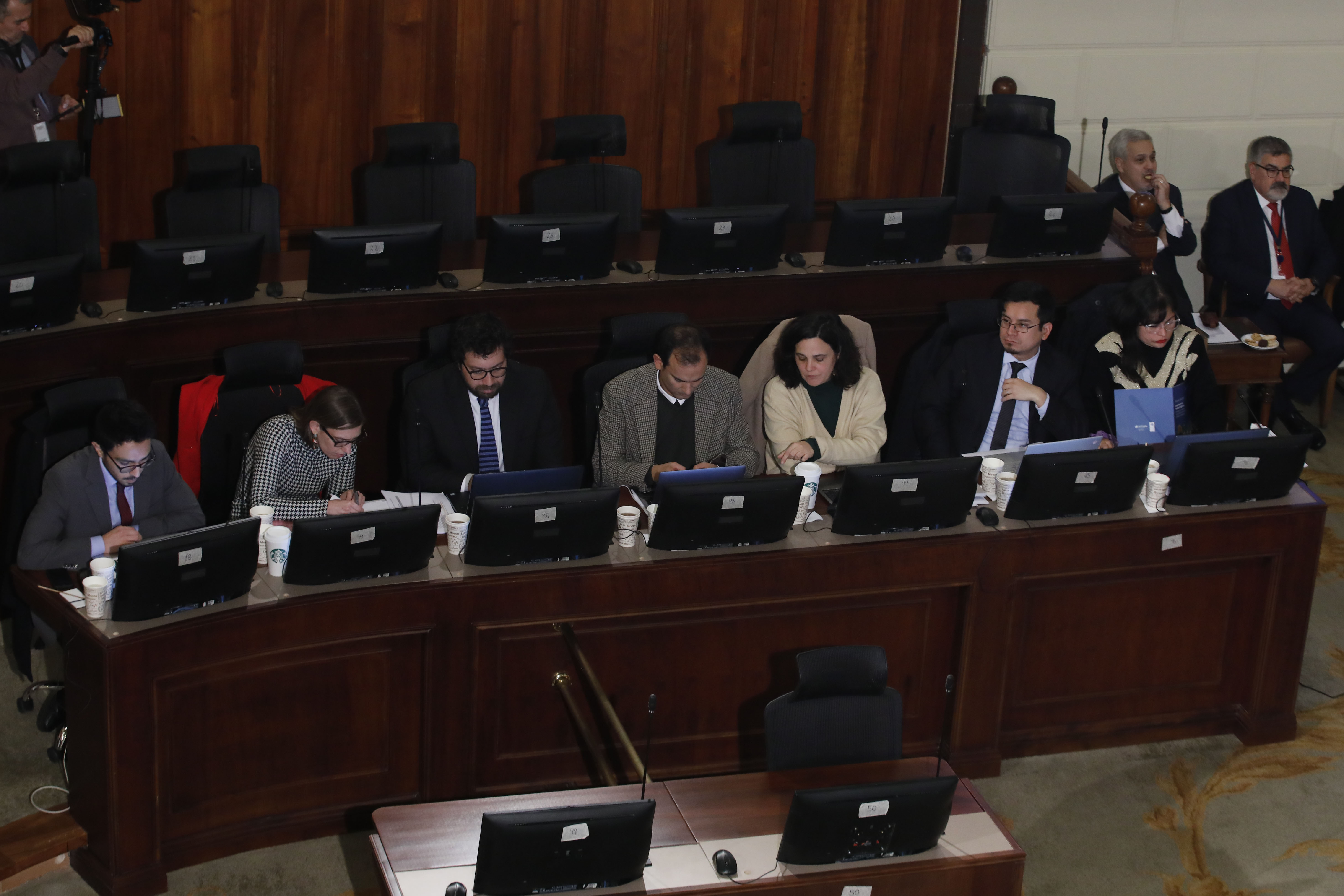 Pleno Comisión Experta