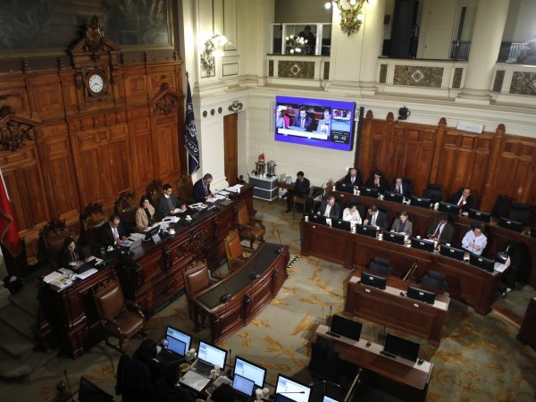 Pleno de la Comisión Experta