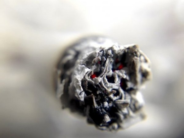 Cigarro mirado de cerca.