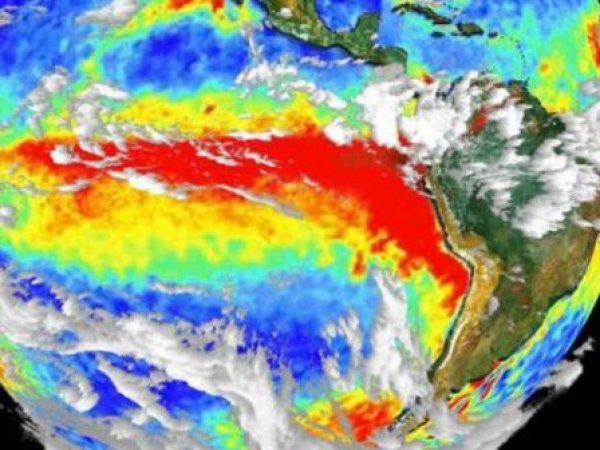 Representación gráfica de la temperatura del océano con el fenómeno de El Niño.