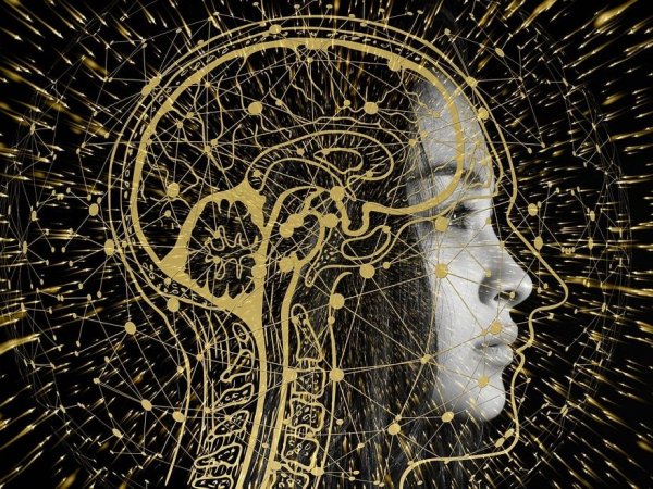 Ilustración de personas sosteniendo un cerebro.