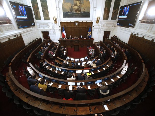 Pleno del Consejo Constitucional