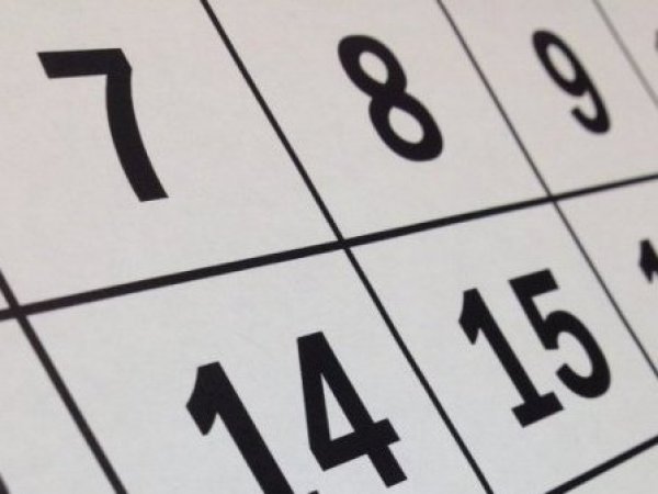 26 de junio es fin de semana largo: ¿es feriado obligatorio e irrenunciable?