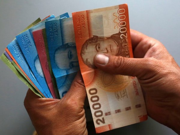 Mano sujetando billetes de todos los valores.