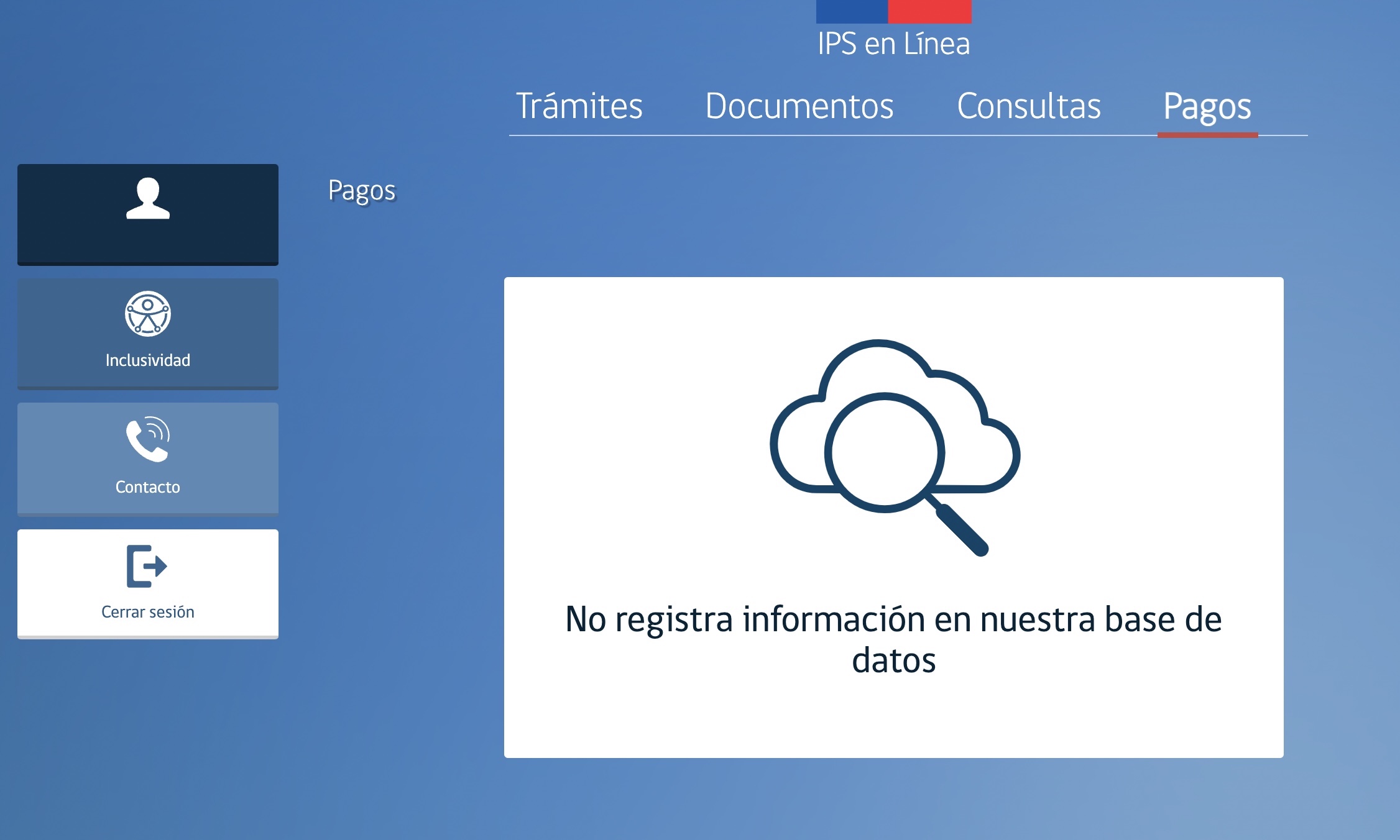 Captura de pantalla IPS en línea, sección de pagos.