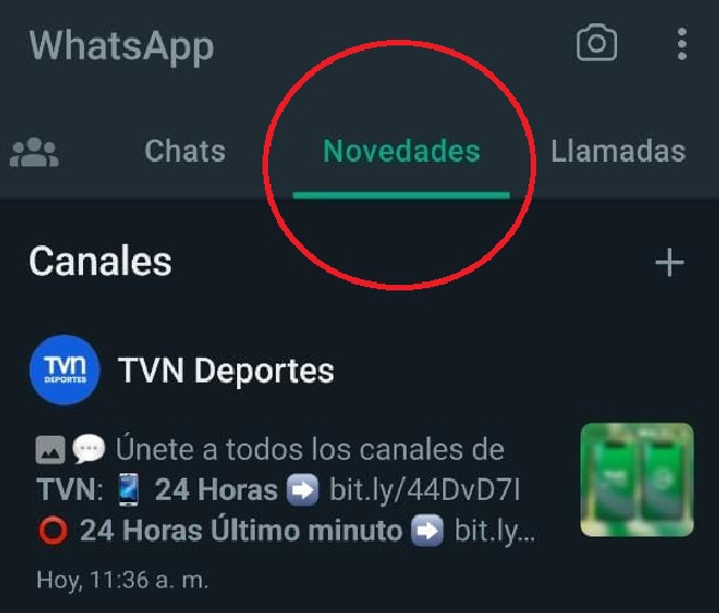 Pestaña novedades en WhatsApp.