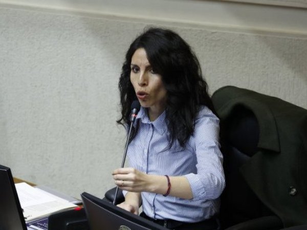 Caso Democracia Viva, diputada María José Gtica.