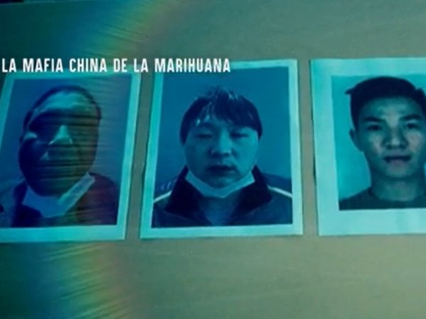 La mafia china de la marihuana