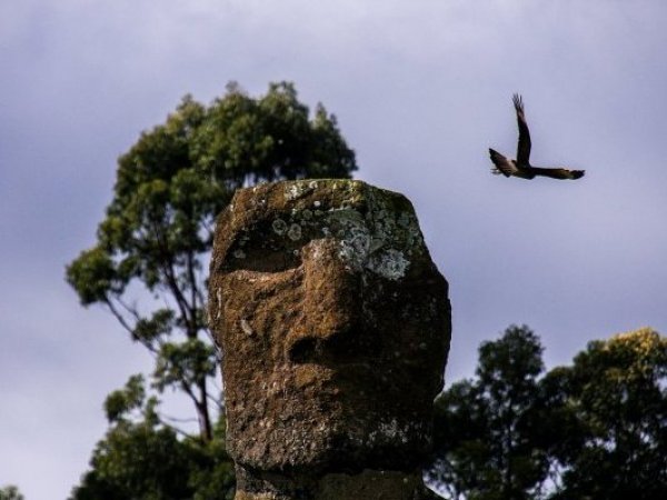 Moai en Isla de Pascua.