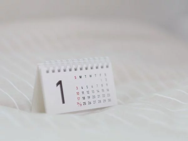 Calendario para feriados en chile.