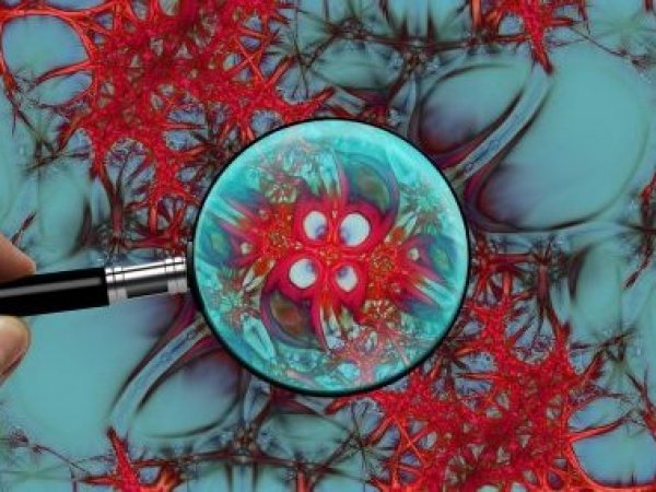 Parkinson. Sistema nervioso.