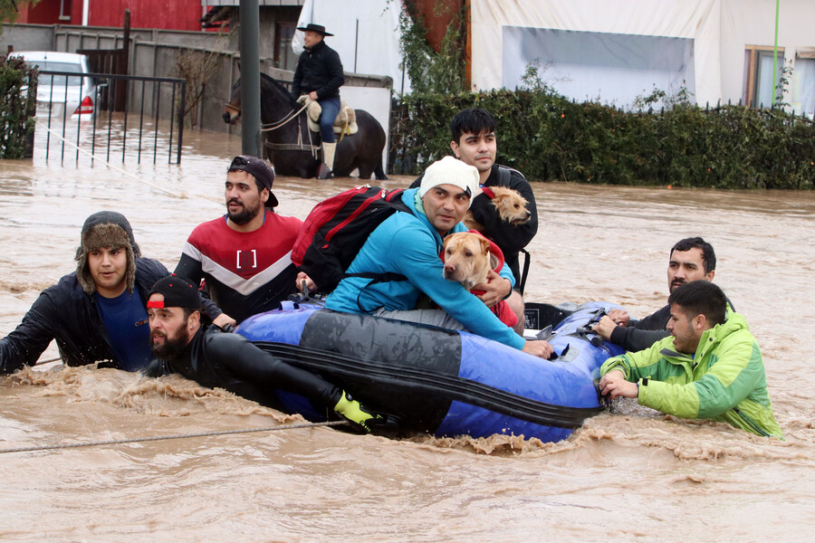 Personas evacuando con mascotas.