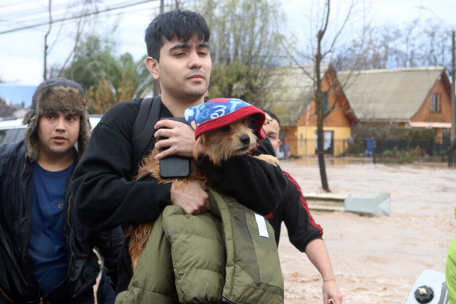 Hombre evacuando con su mascota.