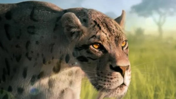 Tigre dientes de sable.