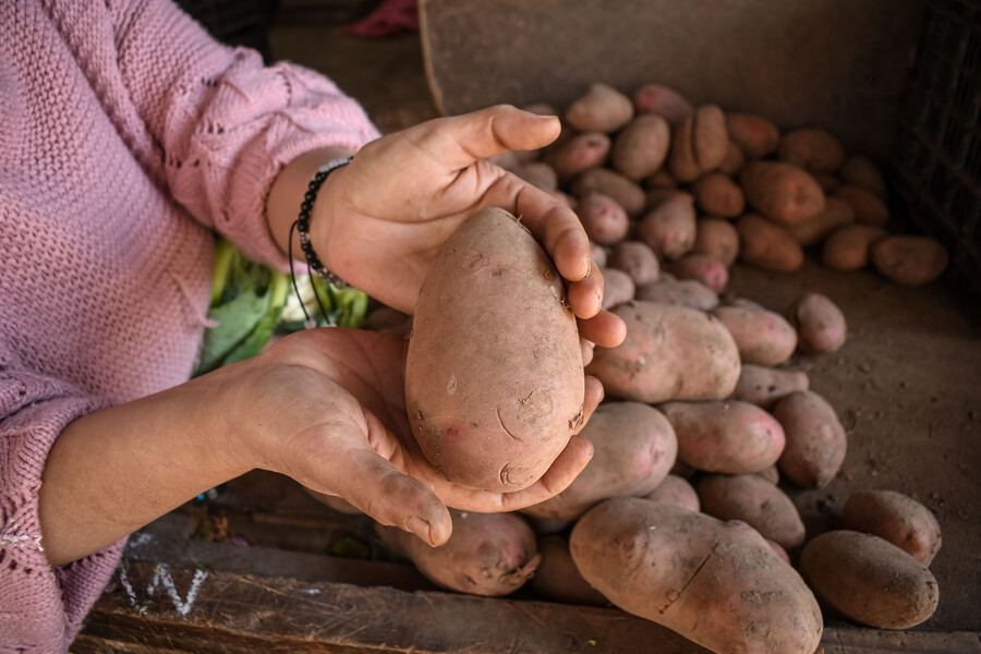 Papas. Manos sujetando papas.