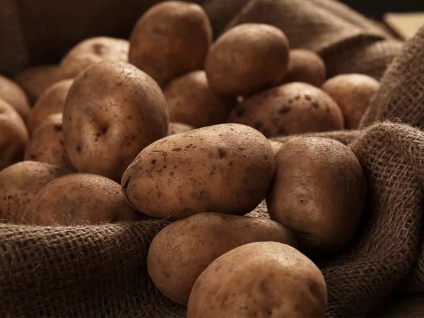 Papas. Alza de la papa.