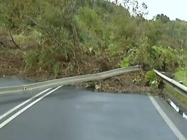 Sistema frontal Los Lagos