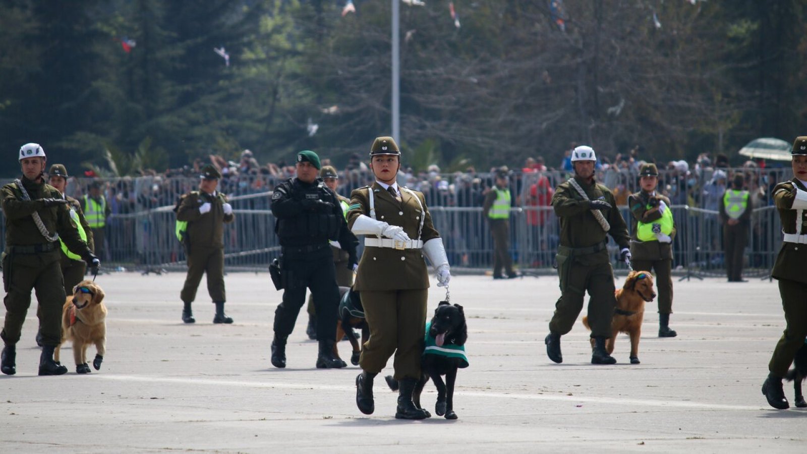 Personal de carabineros desfilando