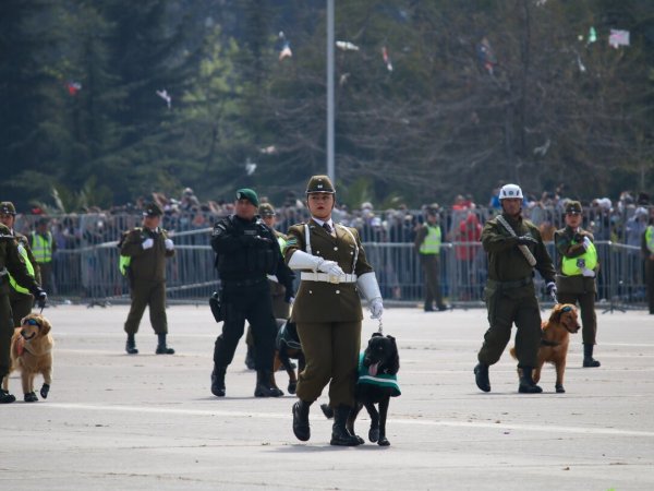 Personal de carabineros desfilando