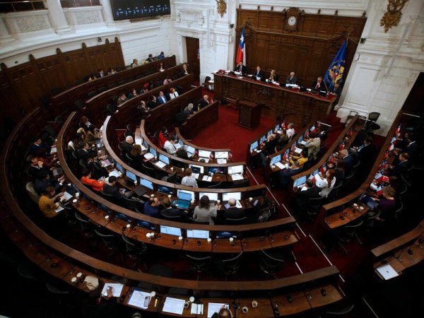 Pleno del Consejo Constitucional