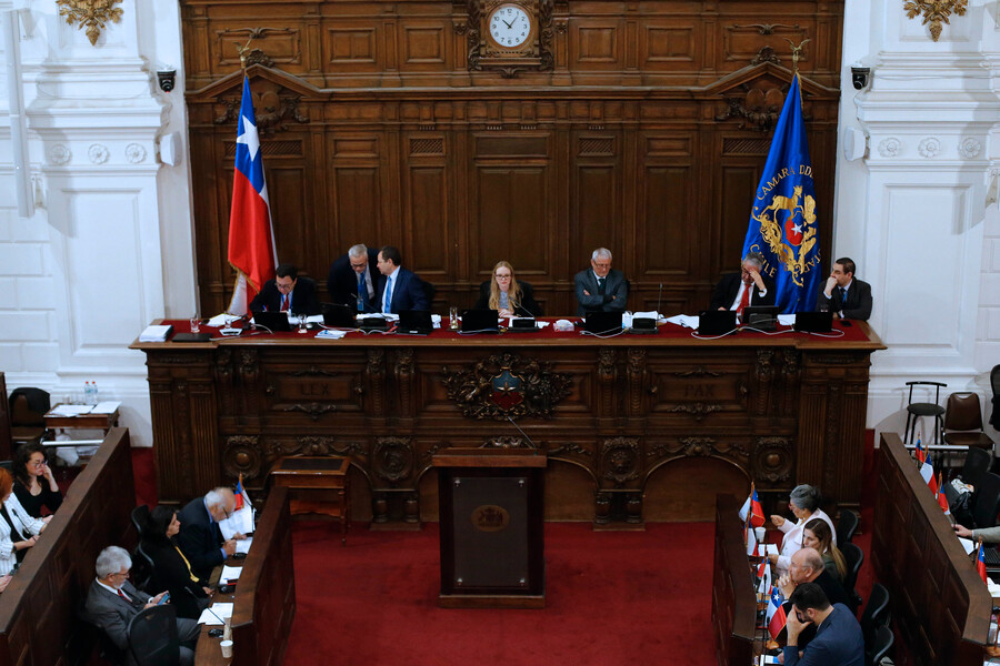 Pleno del Consejo Constitucional