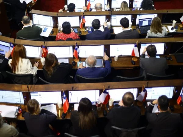 Pleno Consejo Constitucional