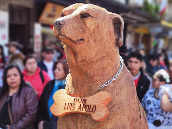 Don Luis Apolo, el perro ícono de Osorno, fue homenajeado