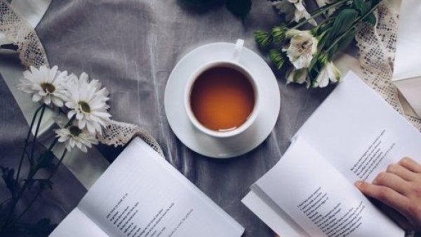 Metáforas para la vida