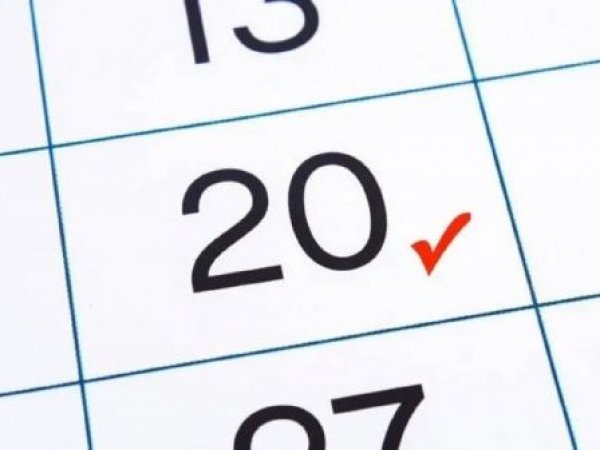 Feriados Chile 2023. Feriado del 20 de octubre.