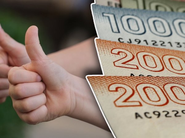 Billetes de 20 mil pesos. Bonos de octubre.