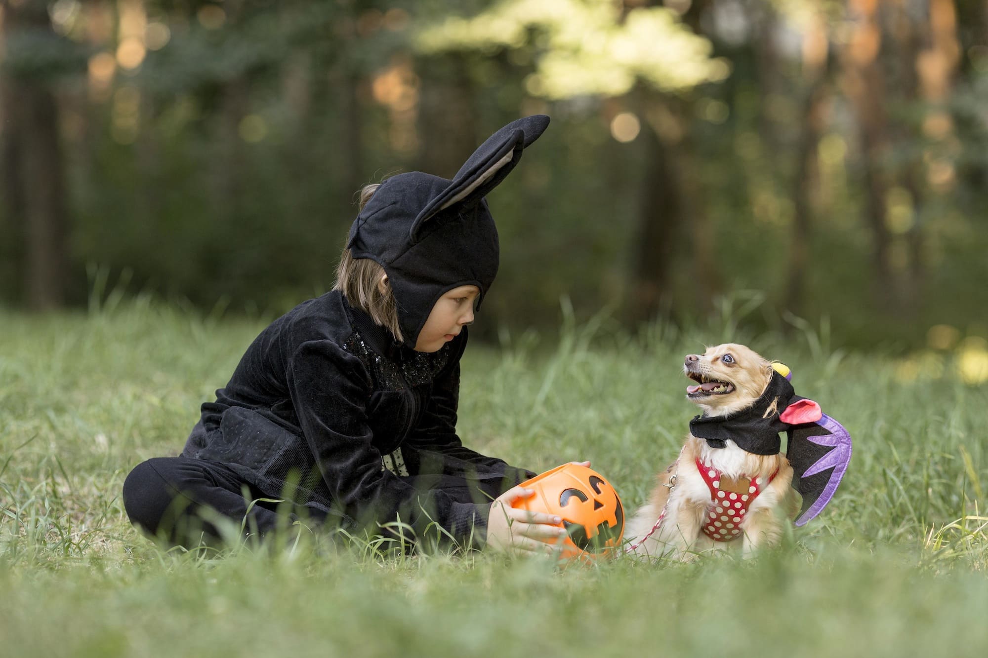 Niño y perro en Halloween