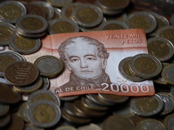 Dinero y billetes. Cómo cobrar el seguro de cesantía.