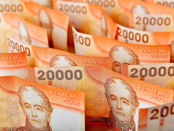 Billetes de 20 mil pesos. Ingreso Mínimo Garantizado
