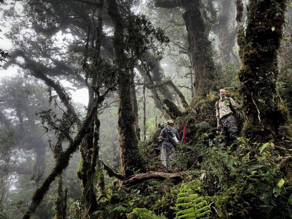 Parte de la expedición en los montes Cíclopes.