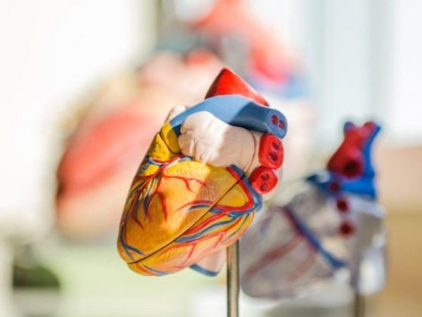 Estudio enfermedades cardiacas y personas con depresión y ansiedad. 2023.