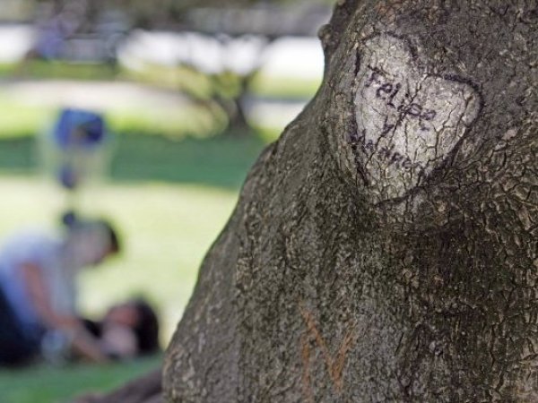 ¿Cómo volver con mi ex? 10 consejos clave