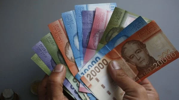 Cómo recibir dinero de la colusión de los pollos.