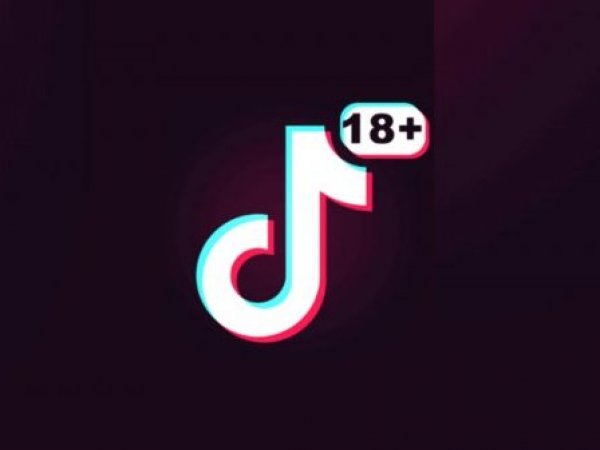 ¿Qué es el TikTok para adultos?: los riesgos de usarlo
