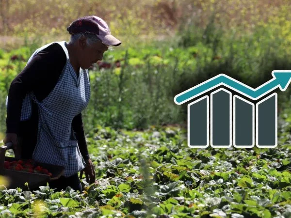 Tasa de desempleo en Chile 2023.