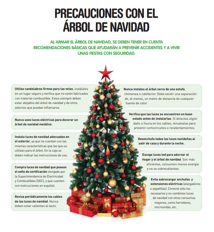 Precauciones árbol de navidad 2024