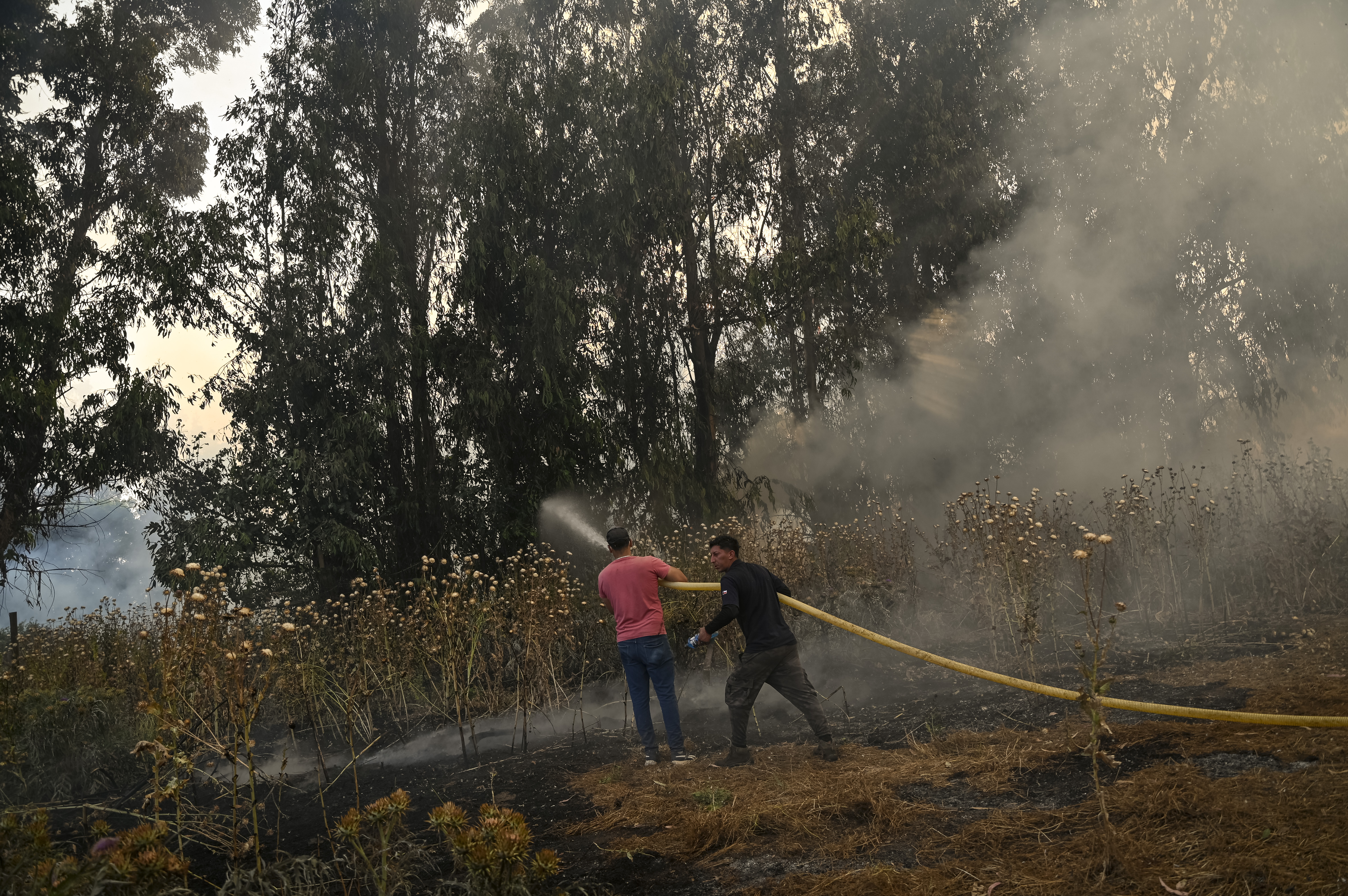 Incendios forestales en Chile 2023