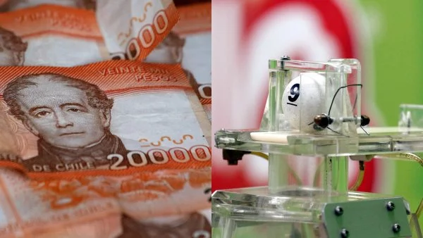 Cuándo se sortean los premios de 5 millones de La Suerte en Chile