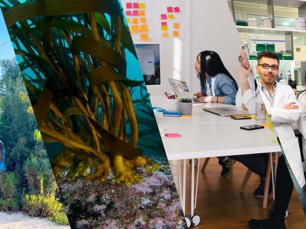 Los proyectos más innovadores, Chile, 2023.