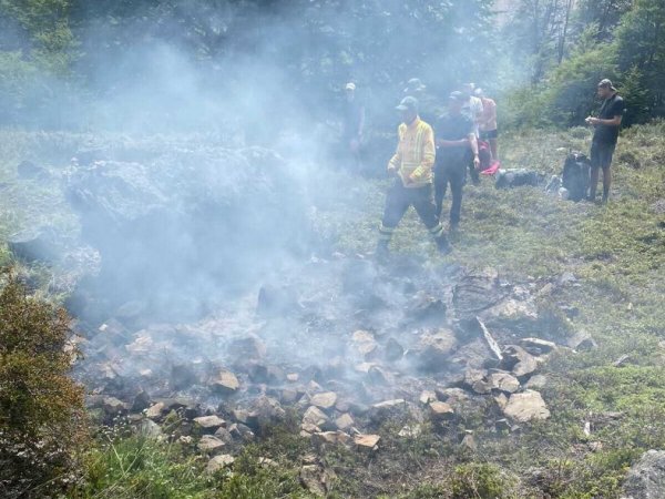 Incendio en parque Patagonia