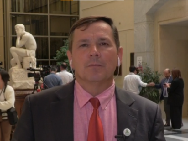 Diputado Rathbeg por posible colusión en industria del pan