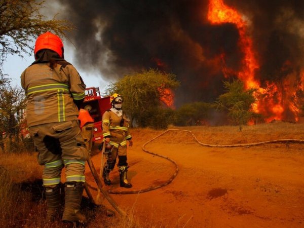 Plan nacional para el combate de los incendios forestales.