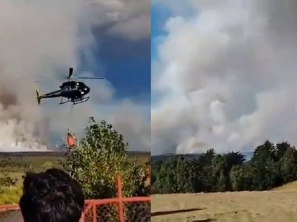 Puerto Montt: Senapred solicita evacuar sector de Las Canchas por incendio forestal