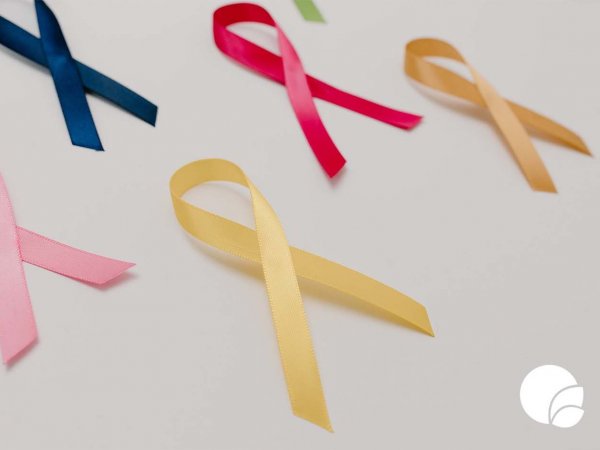 Día Mundial en contra del Cáncer, Chile, 2024.